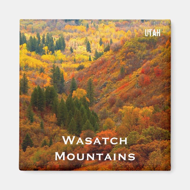 Fall Colors, Wasatch Mountains, Northern Utah Magnet (Front)