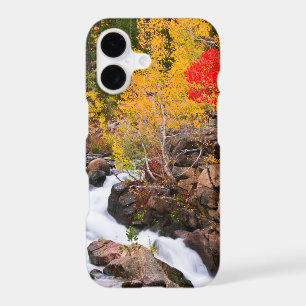 Fall colour along Bishop Creek, CA