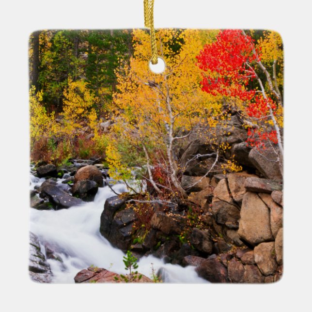Fall colour along Bishop Creek, CA Ceramic Ornament (Front)