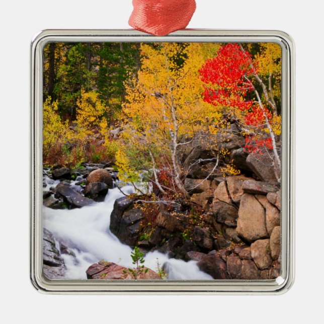 Fall colour along Bishop Creek, CA Metal Tree Decoration (Front)