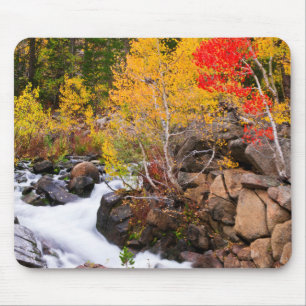 Fall colour along Bishop Creek, CA Mouse Mat