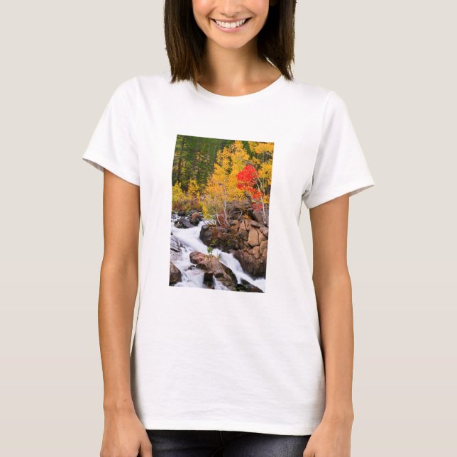 Fall colour along Bishop Creek, CA T-Shirt (Front)