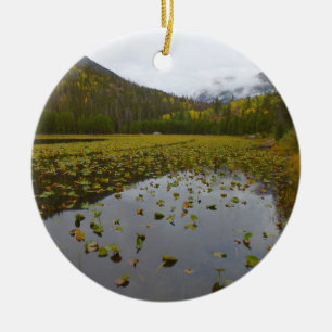 Fall Colour at Cub Lake Ceramic Tree Decoration