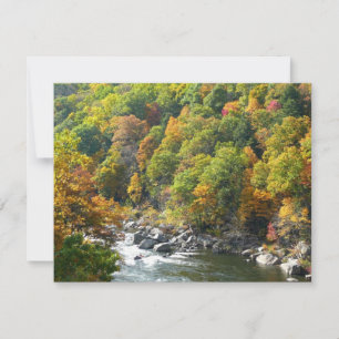 Fall Colour at Ohiopyle State Park