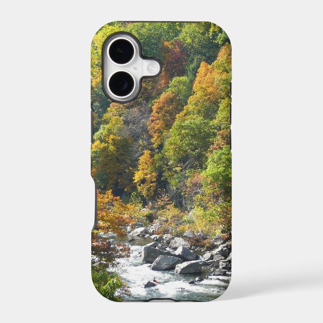 Fall Colour at Ohiopyle State Park (Back)