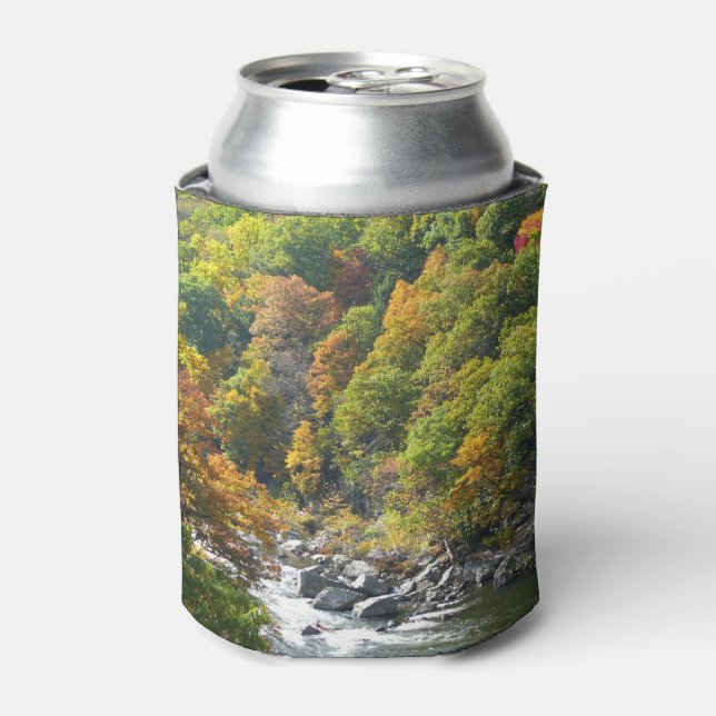 Fall Colour at Ohiopyle State Park Can Cooler (Can Front)