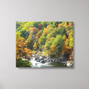 Fall Colour at Ohiopyle State Park Canvas Print