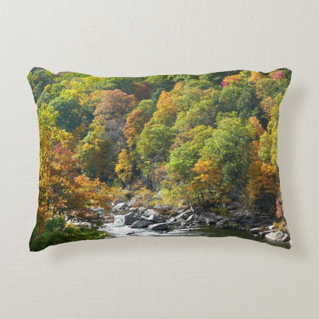 Fall Colour at Ohiopyle State Park Decorative Cushion (Front)