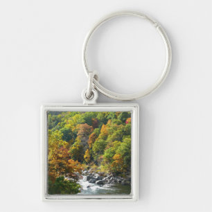 Fall Colour at Ohiopyle State Park Key Ring