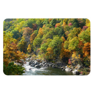 Fall Colour at Ohiopyle State Park Magnet