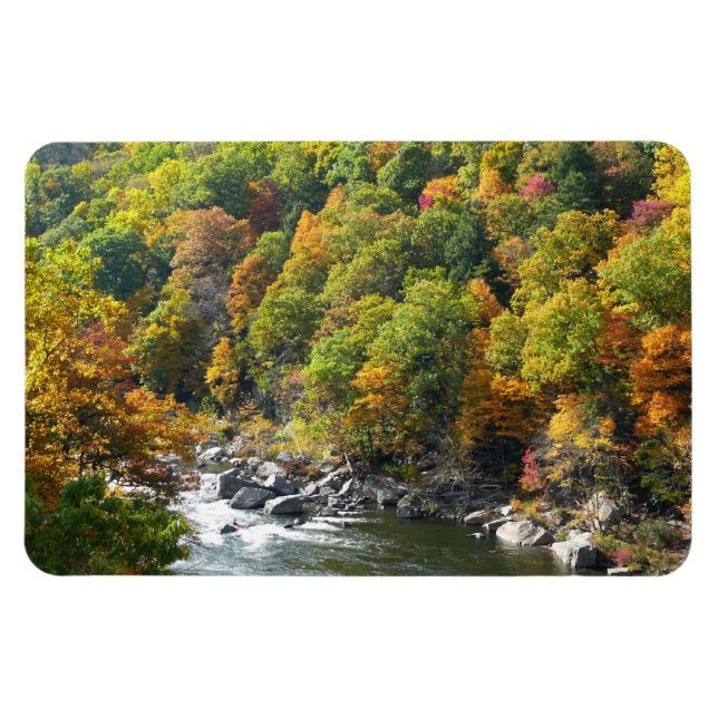 Fall Colour at Ohiopyle State Park Magnet (Horizontal)