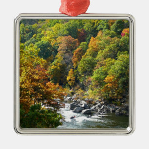 Fall Colour at Ohiopyle State Park Metal Tree Decoration