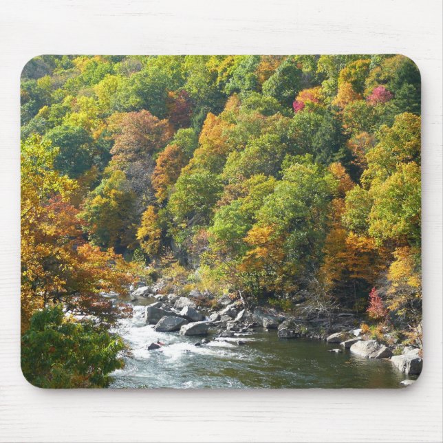 Fall Colour at Ohiopyle State Park Mouse Mat (Front)