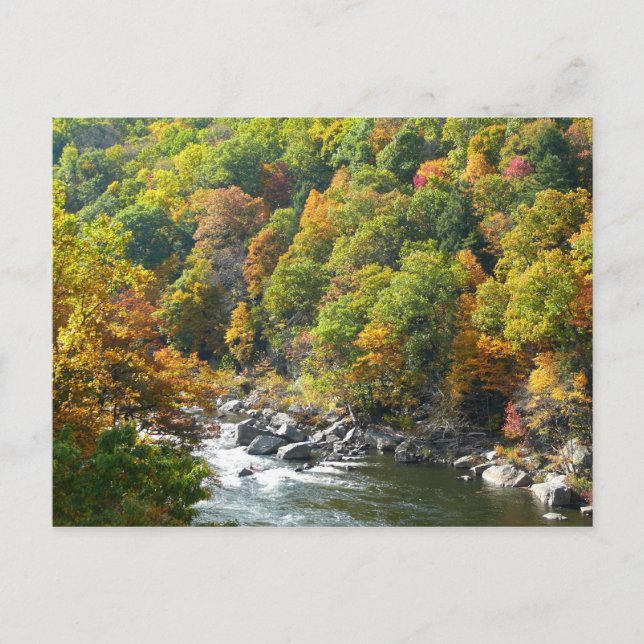 Fall Colour at Ohiopyle State Park Postcard (Front)
