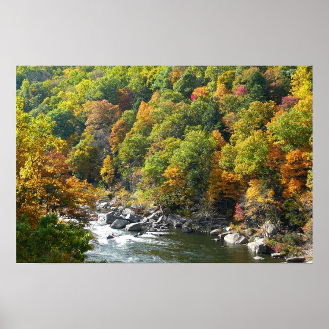Fall Colour at Ohiopyle State Park Poster (Front)