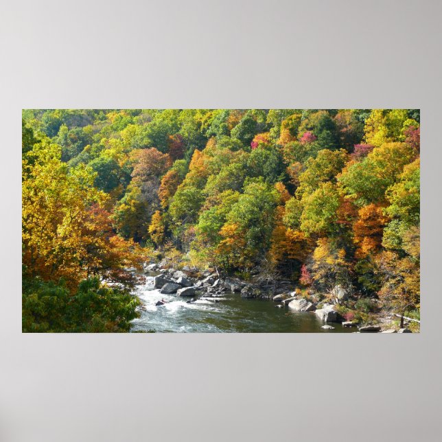 Fall Colour at Ohiopyle State Park Poster (Front)