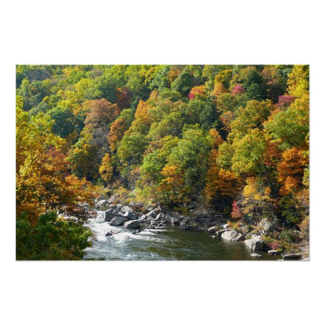 Fall Colour at Ohiopyle State Park Poster (Front)