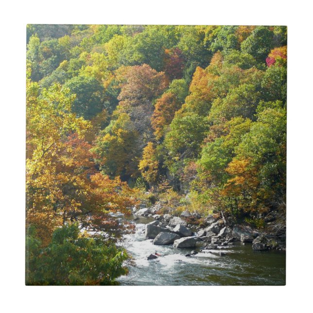 Fall Colour at Ohiopyle State Park Tile (Front)