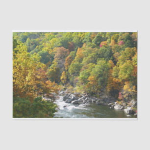 Fall Colour at Ohiopyle State Park Tissue Paper