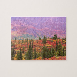 Fall colour in Denali National Park Jigsaw Puzzle