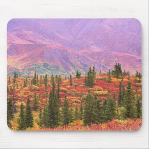 Fall colour in Denali National Park Mouse Mat