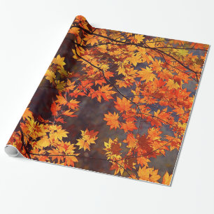Fall Colour Japanese Maple Leaves Wrapping Paper