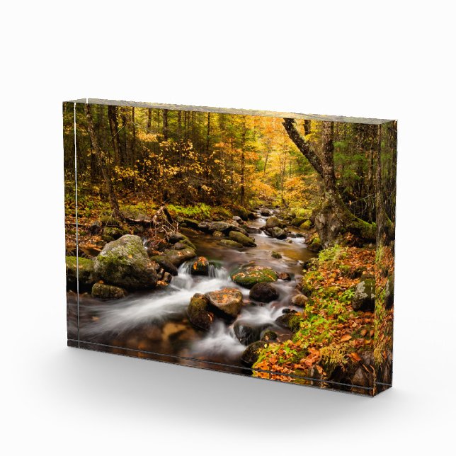 Fall Colour Jefferson Brook | White Mountains Photo Block (Right)