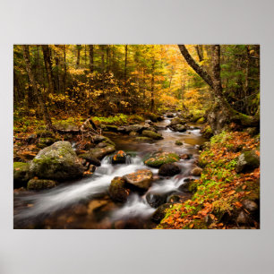 Fall Colour Jefferson Brook   White Mountains Poster