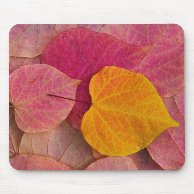 Fall colour on Forest Pansy Redbud fallen Mouse Mat (Front)