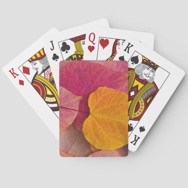 Fall colour on Forest Pansy Redbud fallen Playing Cards (Back)