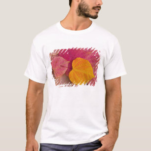 Fall colour on Forest Pansy Redbud fallen T-Shirt