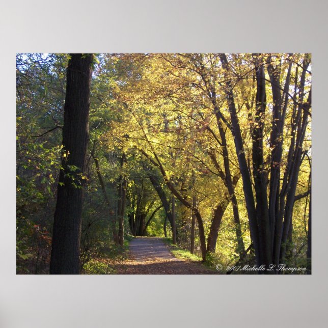 Fall Coloured Trail Canvas Print (Front)