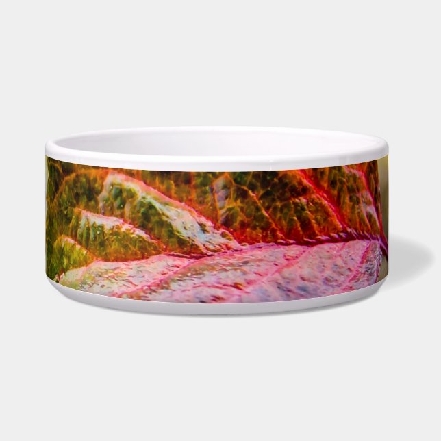 Fall colours (Right)