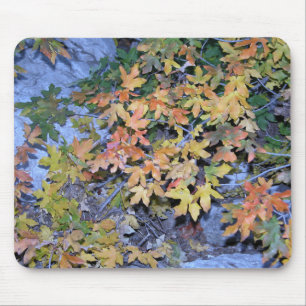 Fall Colours 1 Mouse Mat