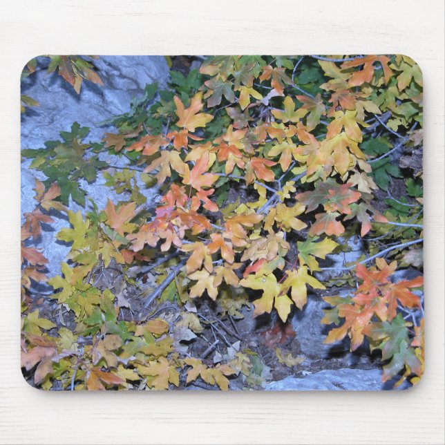 Fall Colours 1 Mouse Mat (Front)