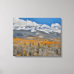 Fall Colours Aspens & Rocky Mountains, Colorado Canvas Print