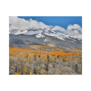 Fall Colours Aspens &    Rocky Mountains, Colorado Canvas Print