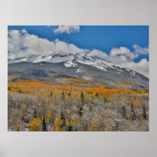 Fall Colours Aspens &    Rocky Mountains, Colorado Poster