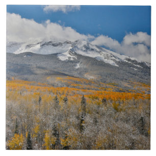Fall Colours Aspens &    Rocky Mountains, Colorado Tile