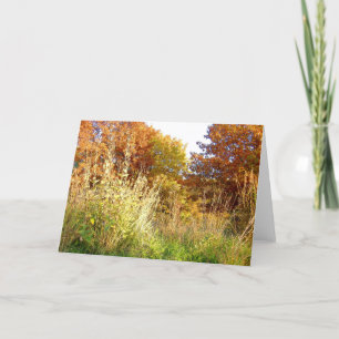 Fall Colours at Charter Oak Park, Peoria, IL Card