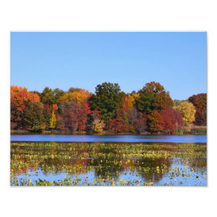 Fall colours at the wildlife refuge photo print