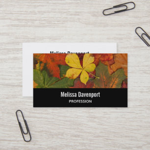 Fall Colours Autumn Leaves Photo Business Card