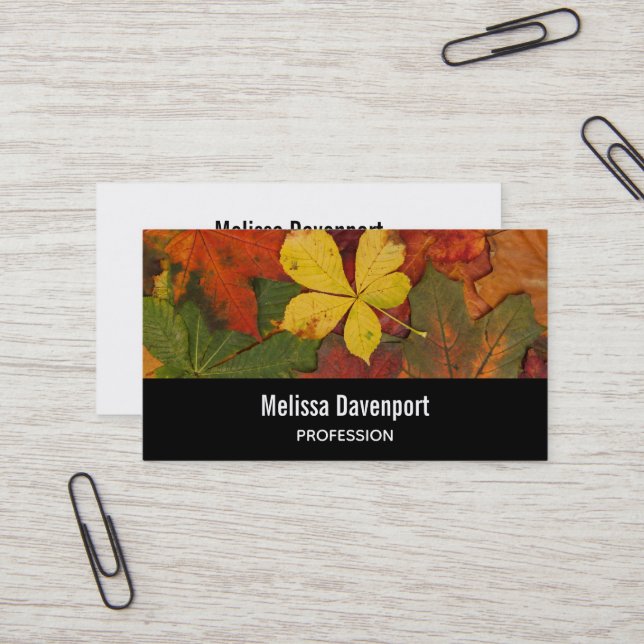 Fall Colours Autumn Leaves Photo Business Card (Front/Back In Situ)