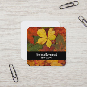 Fall Colours Autumn Leaves Photograph Square Business Card