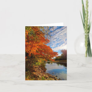 Fall colours blank notecard