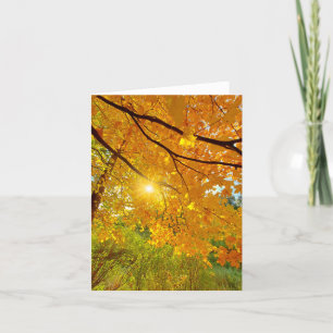 Fall colours blank notecard