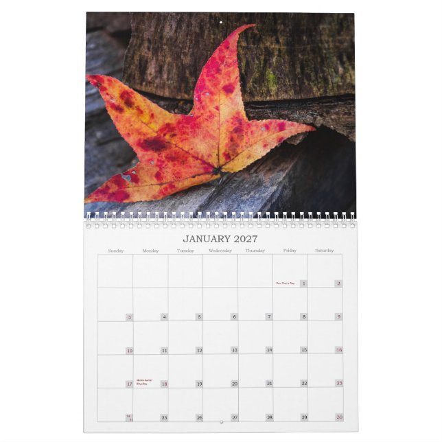 Fall Colours Calendar (Jan 2027)