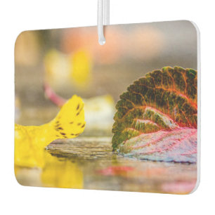 Fall colours car air freshener