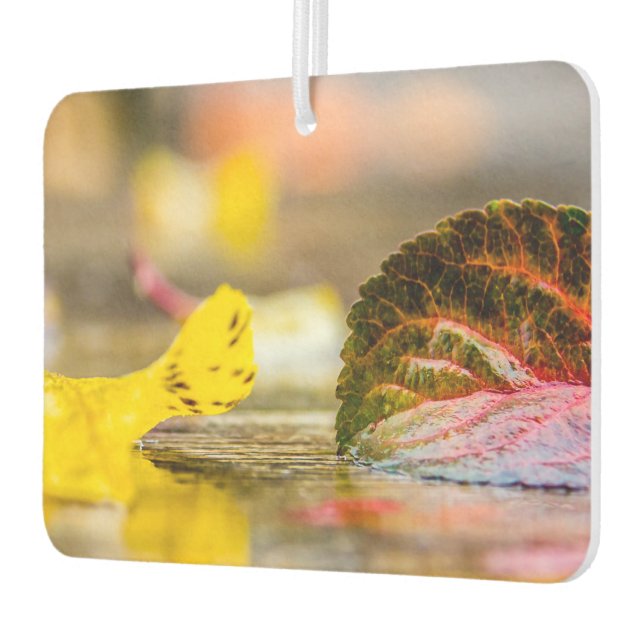 Fall colours car air freshener (Left)