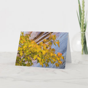 Fall Colours Card